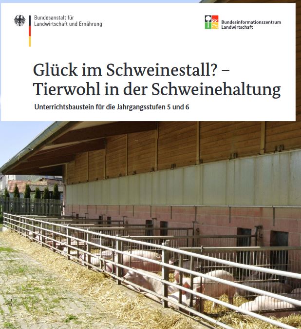 schweine
