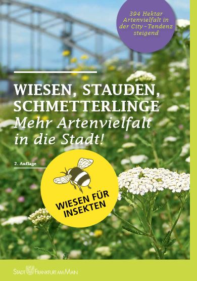 wiesen stauden